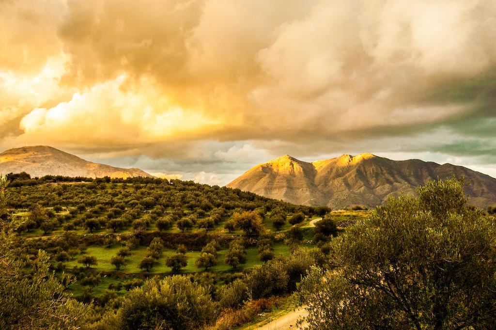 Enagron Ecotourism Village אצ'וס