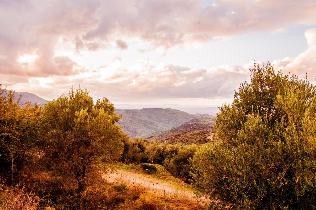 Enagron Ecotourism Village מלון דירות אצ'וס