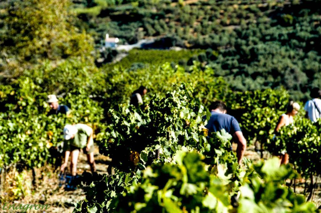 מלון דירות Enagron Ecotourism Village אצ'וס