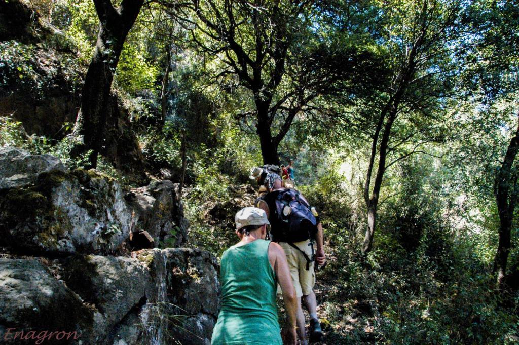 מלון דירות Enagron Ecotourism Village