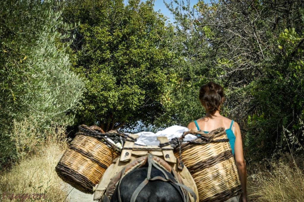 Enagron Ecotourism Village מלון דירות אצ'וס