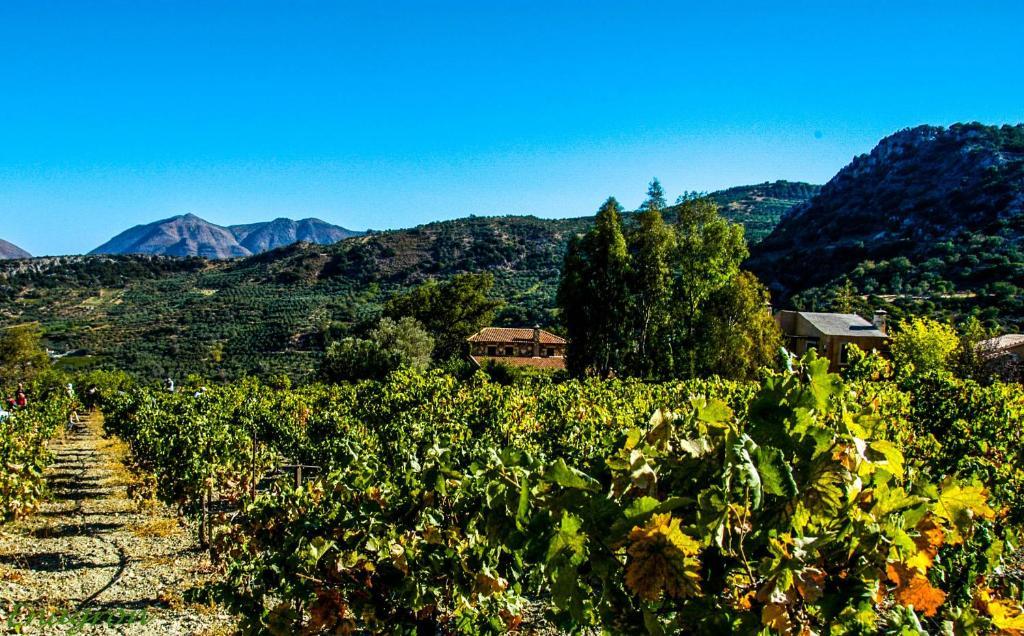 Enagron Ecotourism Village 3* Axós